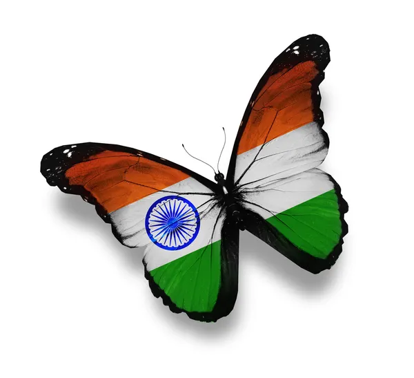 Indiska flaggan fjäril, isolerad på vit — Stockfoto