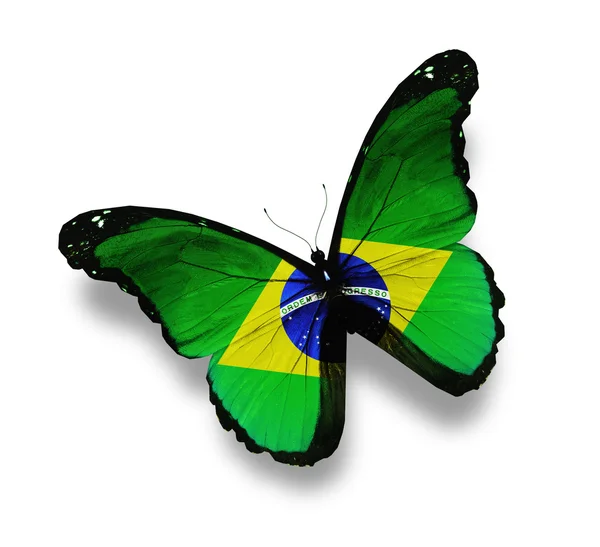 Mariposa de bandera brasileña, aislada en blanco — Foto de Stock