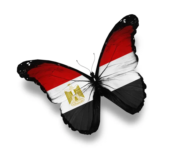 Farfalla bandiera egiziana, isolata su bianco — Foto Stock
