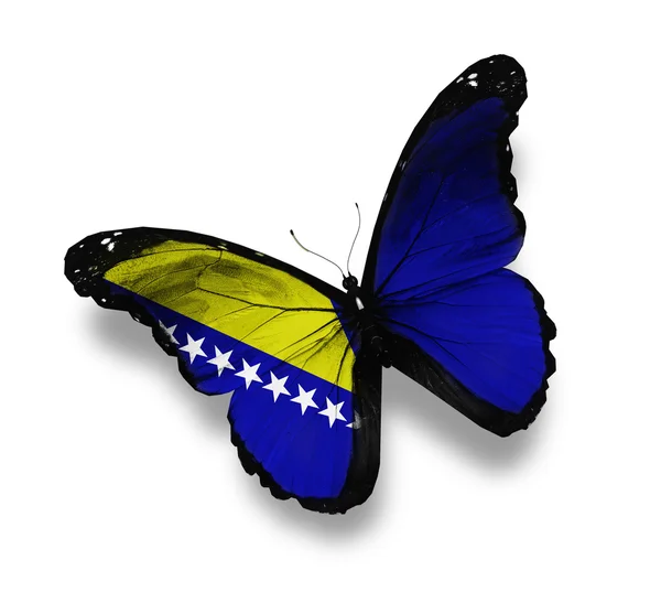 Bandeira da Bósnia e Herzegovina borboleta, isolada sobre branco — Fotografia de Stock