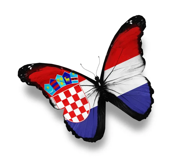 Bandiera croata farfalla, isolata su bianco — Foto Stock