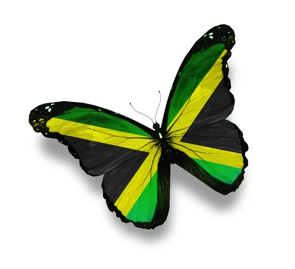 Jamaicas flagga fjäril, isolerad på vit — Stockfoto