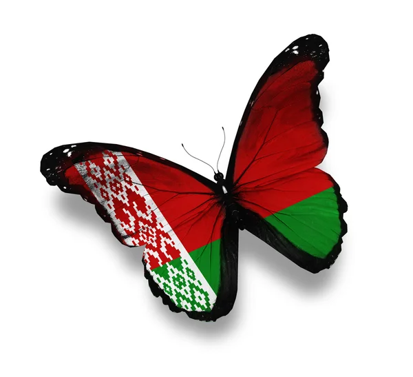 Белорусский флаг-бабочка, изолированная на белом — стоковое фото