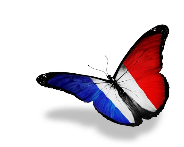 Papillon drapeau français volant, isolé sur fond blanc — Photo
