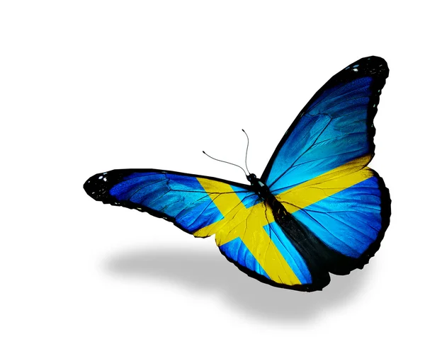 Bandera sueca mariposa volando, aislada sobre fondo blanco —  Fotos de Stock