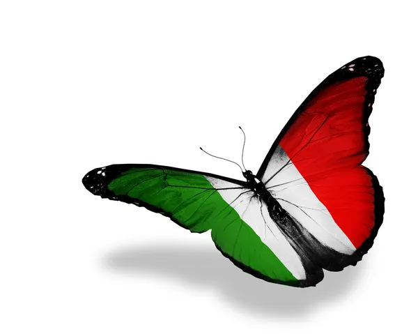 Итальянский флаг бабочка летит, изолированные на белом фоне — стоковое фото