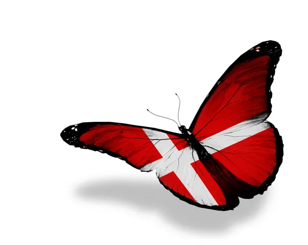 Bandeira dinamarquesa borboleta voando, isolado no fundo branco — Fotografia de Stock