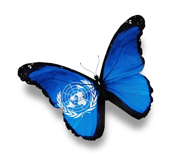 stock image Flag of United Nations butterfly, isolated on white