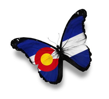 Colorado flag butterfly, isolated on white clipart