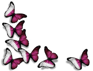Qatari flag butterflies, isolated on white background clipart