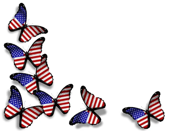 Papillons drapeau américain, isolés sur fond blanc — Photo