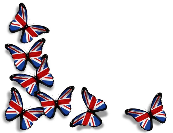Engelsk flagga fjärilar, isolerad på vit bakgrund — Stockfoto