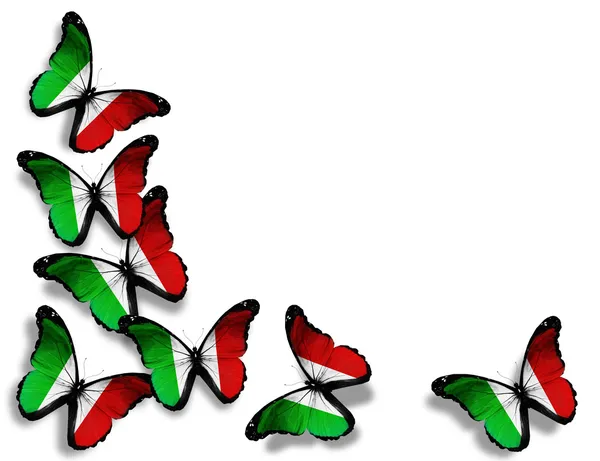 Papillons drapeau italien, isolés sur fond blanc — Photo