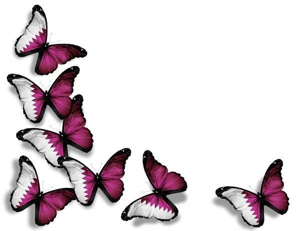 Bandeira do Catar borboletas, isoladas sobre fundo branco — Fotografia de Stock