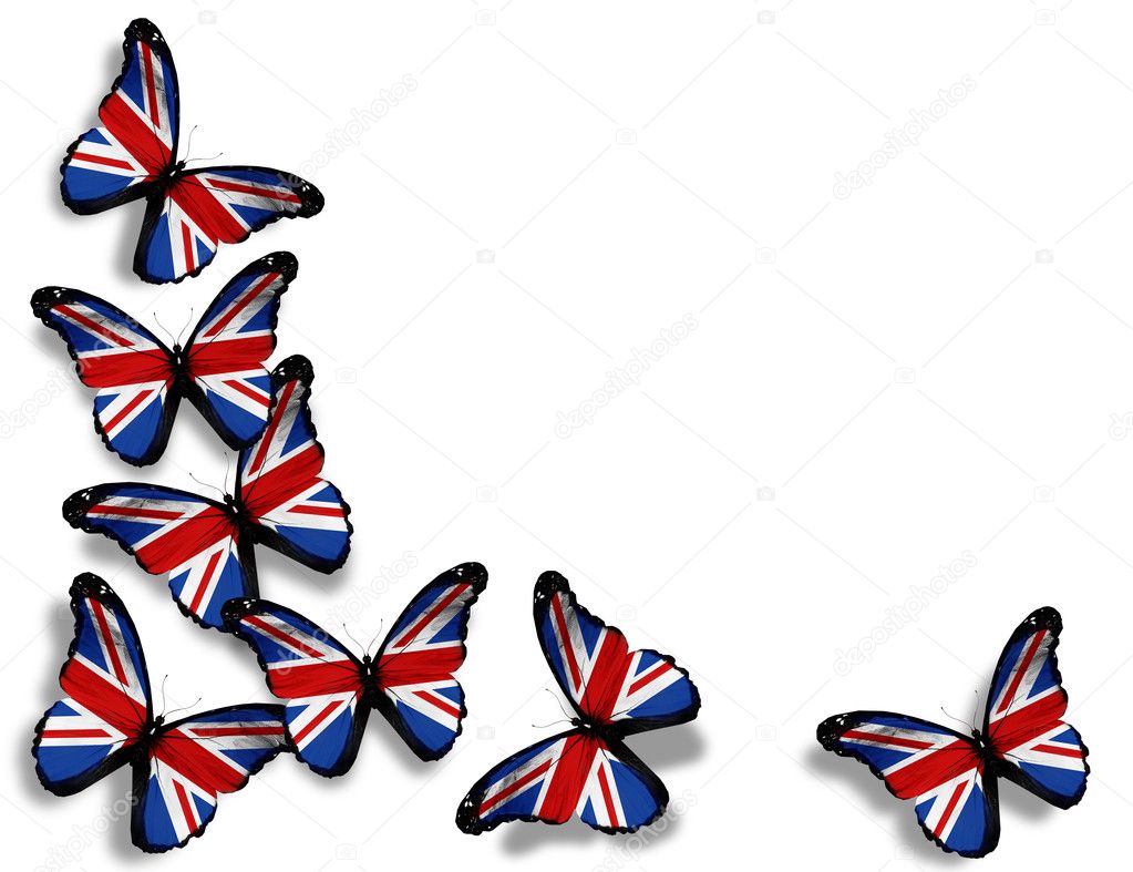 Farfalle Bandiera Inglese Isolate Su Sfondo Bianco Foto Stock Foto Immagini © Sun Tiger