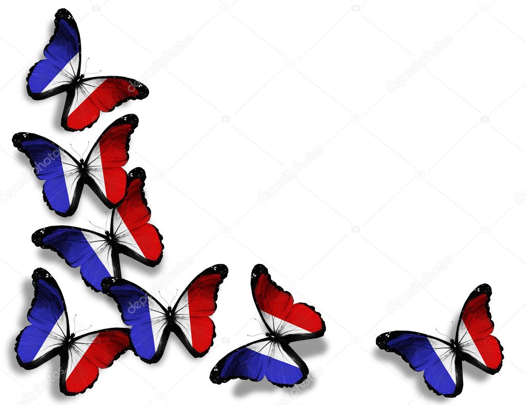 French flag butterflies, isolated on white background
