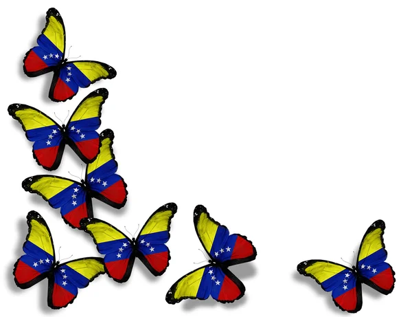 Venezuelská vlajka motýly, izolovaných na bílém pozadí — Stock fotografie