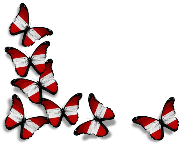 Schmetterlinge der österreichischen Flagge, isoliert auf weißem Hintergrund — Stockfoto
