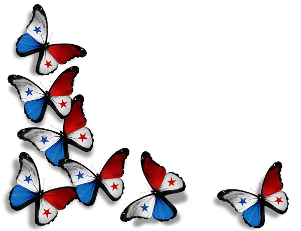 Панамським прапором метеликів, ізольовані на білому тлі — стокове фото
