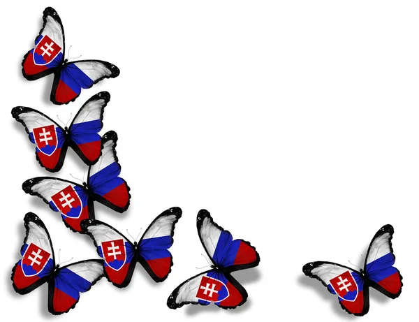 Borboletas bandeira eslovaca, isoladas sobre fundo branco — Fotografia de Stock