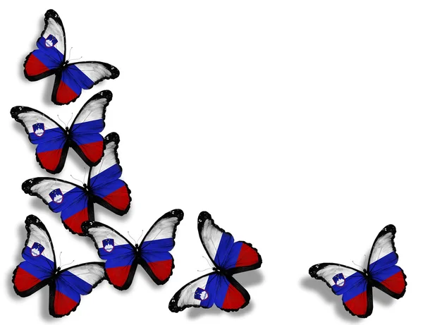 Mariposas de bandera eslovena, aisladas sobre fondo blanco — Foto de Stock