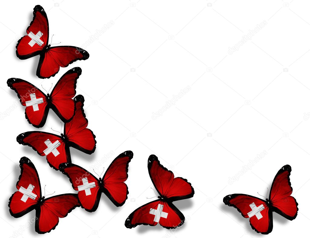 Swiss flag butterflies, isolated on white background