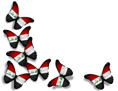 Iraqi flag butterflies, isolated on white background clipart