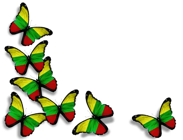 Farfalle bandiera lituana, isolate su sfondo bianco — Foto Stock