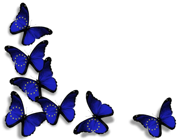 Europese Unie vlag vlinders, geïsoleerd op witte achtergrond — Stockfoto