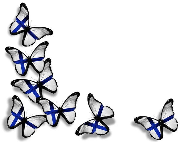 Mariposas de bandera finlandesa, aisladas sobre fondo blanco — Foto de Stock