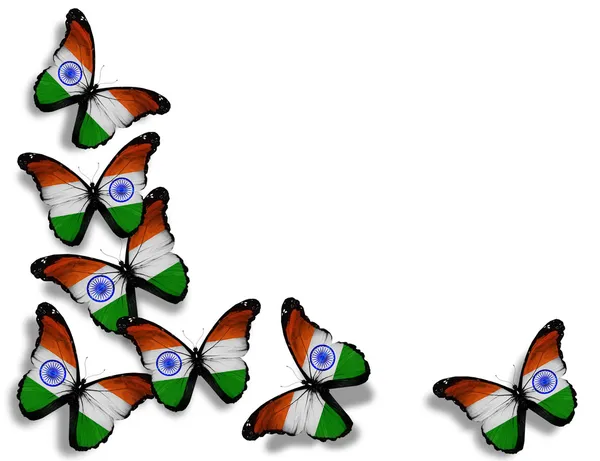 Papillons drapeau indien, isolés sur fond blanc — Photo