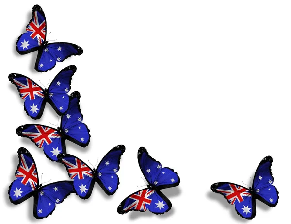 Australische vlag vlinders, geïsoleerd op witte achtergrond — Stockfoto