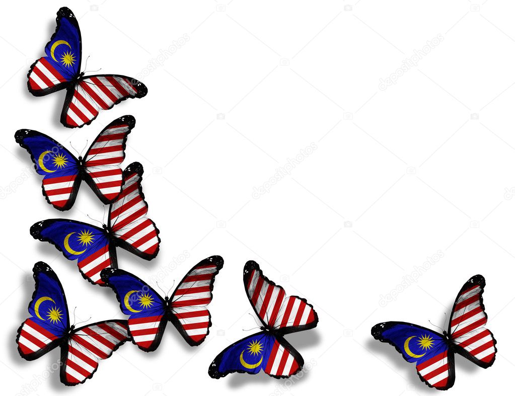Malaysian flag butterflies, isolated on white background