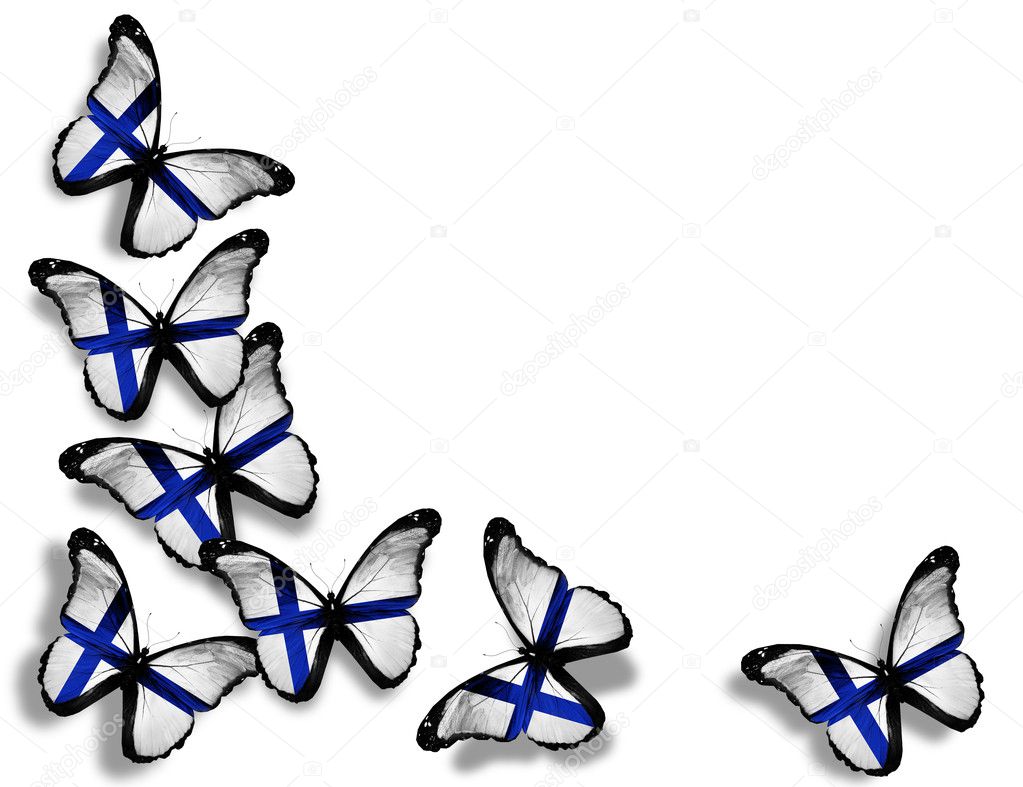 Finnish flag butterflies, isolated on white background