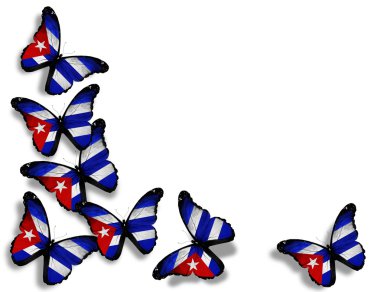 Cuban flag butterflies, isolated on white background clipart