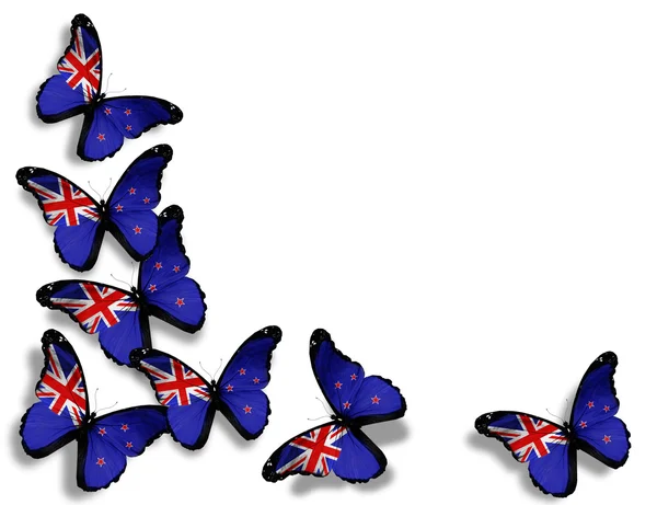 Papillons drapeau néo-zélandais, isolés sur fond blanc — Photo