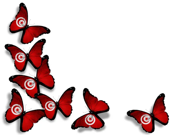 Tunisian flag butterflies, isolated on white background — Stock Photo, Image