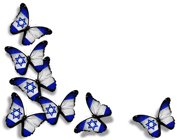 Papillons drapeau israélien, isolés sur fond blanc — Photo