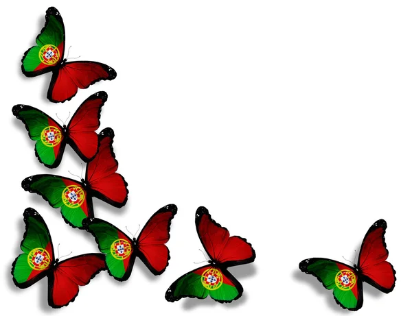 Portuguese flag butterflies, isolated on white background — Stock Photo, Image