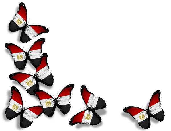Farfalle bandiera egiziana, isolate su sfondo bianco — Foto Stock
