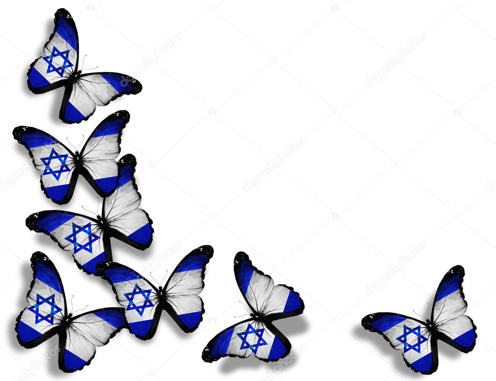 Israeli flag butterflies, isolated on white background