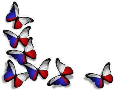 Czech flag butterflies, isolated on white background clipart