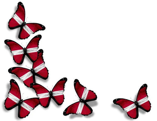 Letonya bayrağı kelebekler, beyaz zemin üzerine izole — Stok fotoğraf
