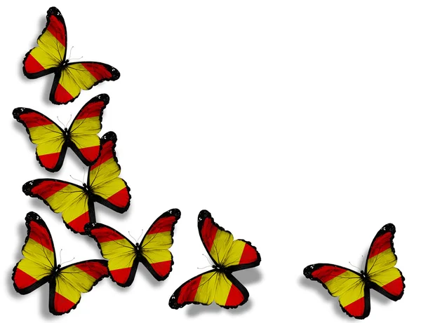 Papillons drapeau espagnol, isolés sur fond blanc — Photo