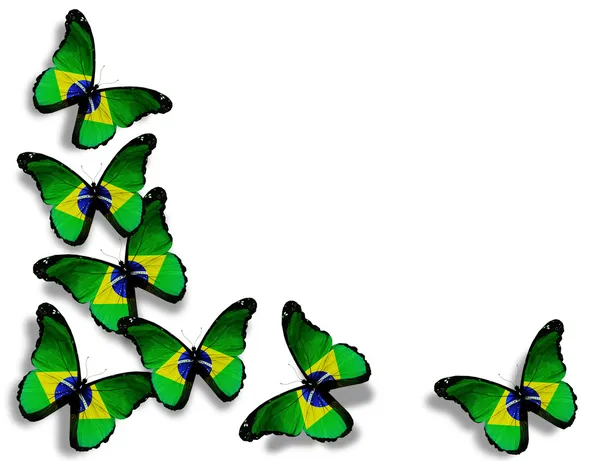 Braziliaanse vlag vlinders, geïsoleerd op witte achtergrond — Stockfoto