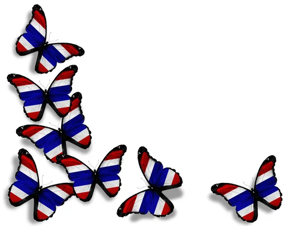 タイの旗、蝶、白い背景で隔離 — ストック写真