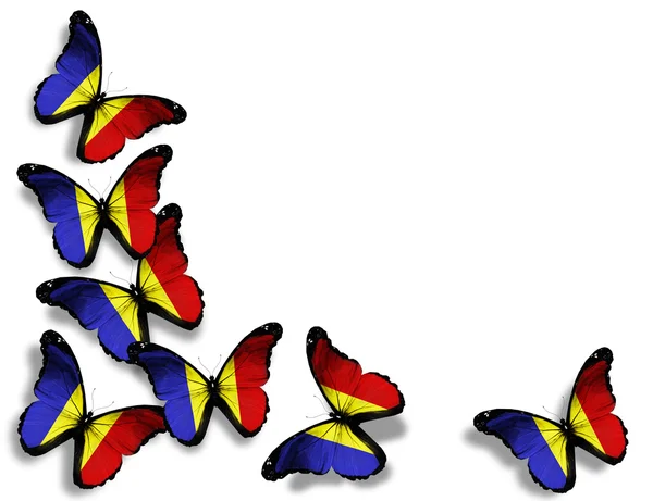 罗马尼亚国旗的蝴蝶，在白色背景上孤立 — 图库照片