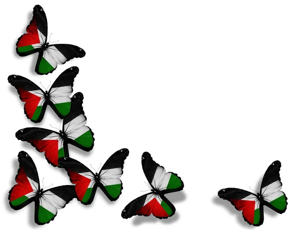 巴勒斯坦旗帜的蝴蝶，在白色背景上孤立 — 图库照片