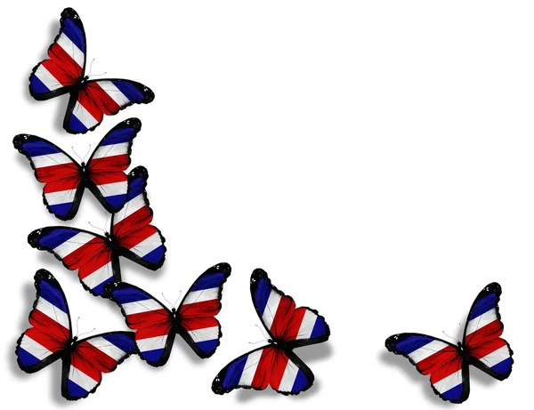 Papillons drapeau du Costa Rica, isolés sur fond blanc — Photo