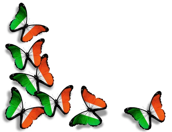 Papillons drapeau irlandais, isolés sur fond blanc — Photo